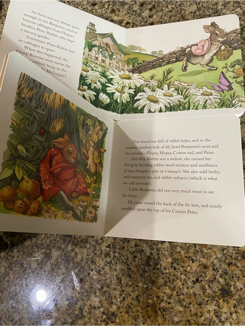 VTG Beatrix Potter Board Book Benjamin Bunny & Flopsy Bunnies Charles Santore